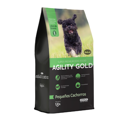 Agility gold pequeños cachorros