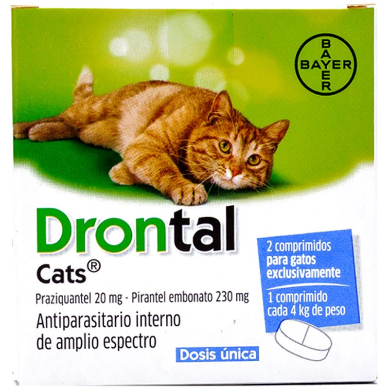 X_drontalgato2comp7777 dontral